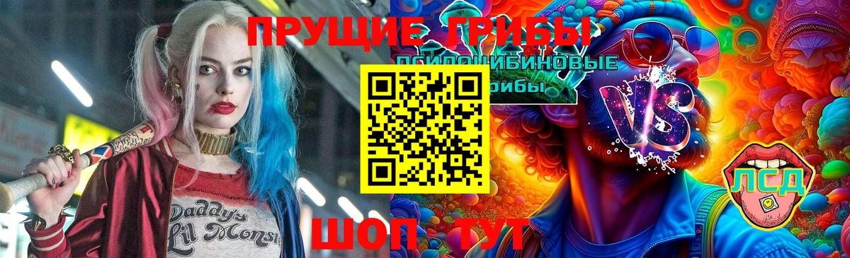 Галлюциногенные грибы GOLDEN TEACHER Гусь-Хрустальный