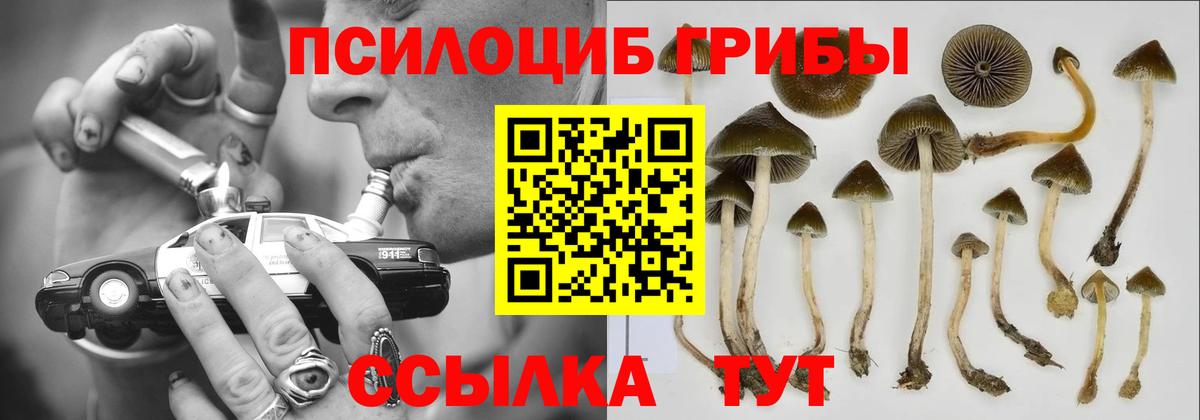 Гусь-Хрустальный  Псилоцибиновые грибы GOLDEN TEACHER  Галлюциногенные грибы GOLDEN TEACHER  Вход с VPN 